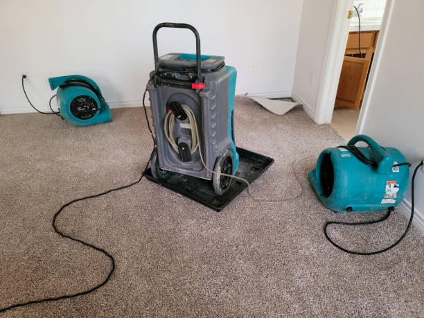 Best 24-hour water damage restoration  in University, FL