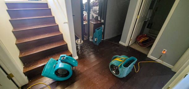 University, FL Water damage restoration Company