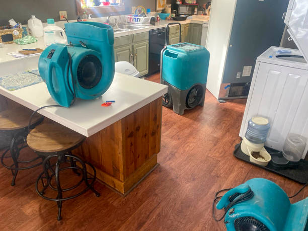 Best Flood restoration services  in University, FL