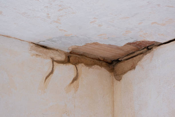 Best Water damage restoration cost  in University, FL