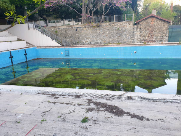 Best Sewage cleanup and water damage restoration  in University, FL